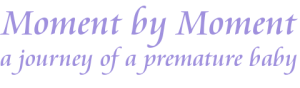 Moment-by-Moment_a-journey-of-a-premature-baby_premmie_preemie_preterm_prem_premature-baby-support-group_personal-premmie-story_27weeker_Airlie-Fae_Fee-Dixon_fiona-dixon1